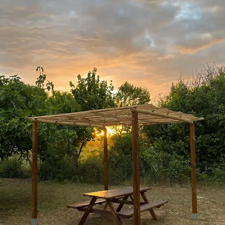 Bed & Breakfast Del Lupo *