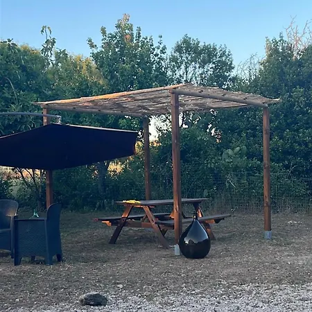 Del Lupo