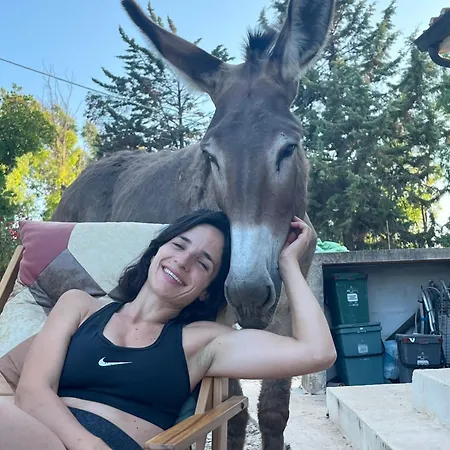 בית הארחה Del Lupo 3*