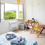 Del Lupo 3*