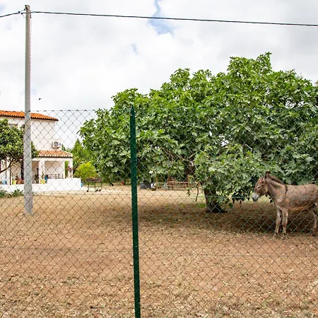 Guest house Del Lupo
