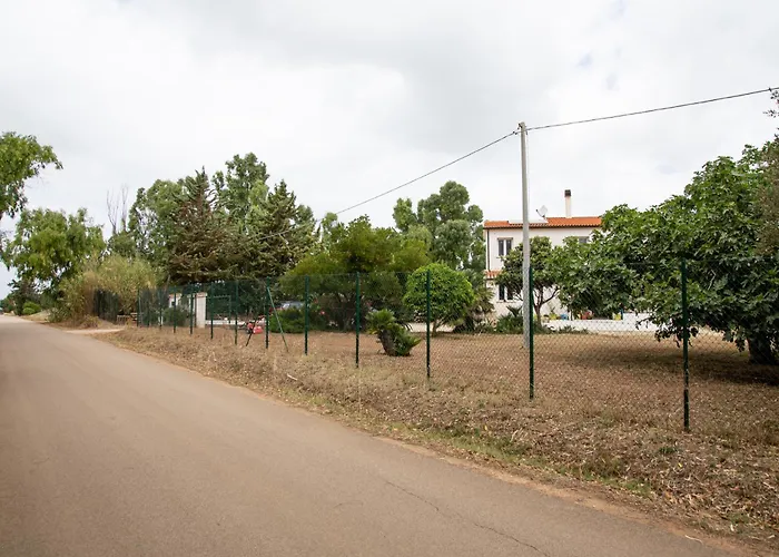 Del Lupo