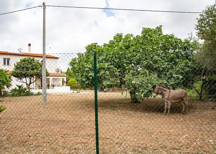 Guest house Del Lupo
